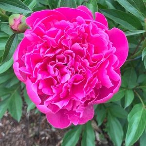 Meet your Posher, Stacy